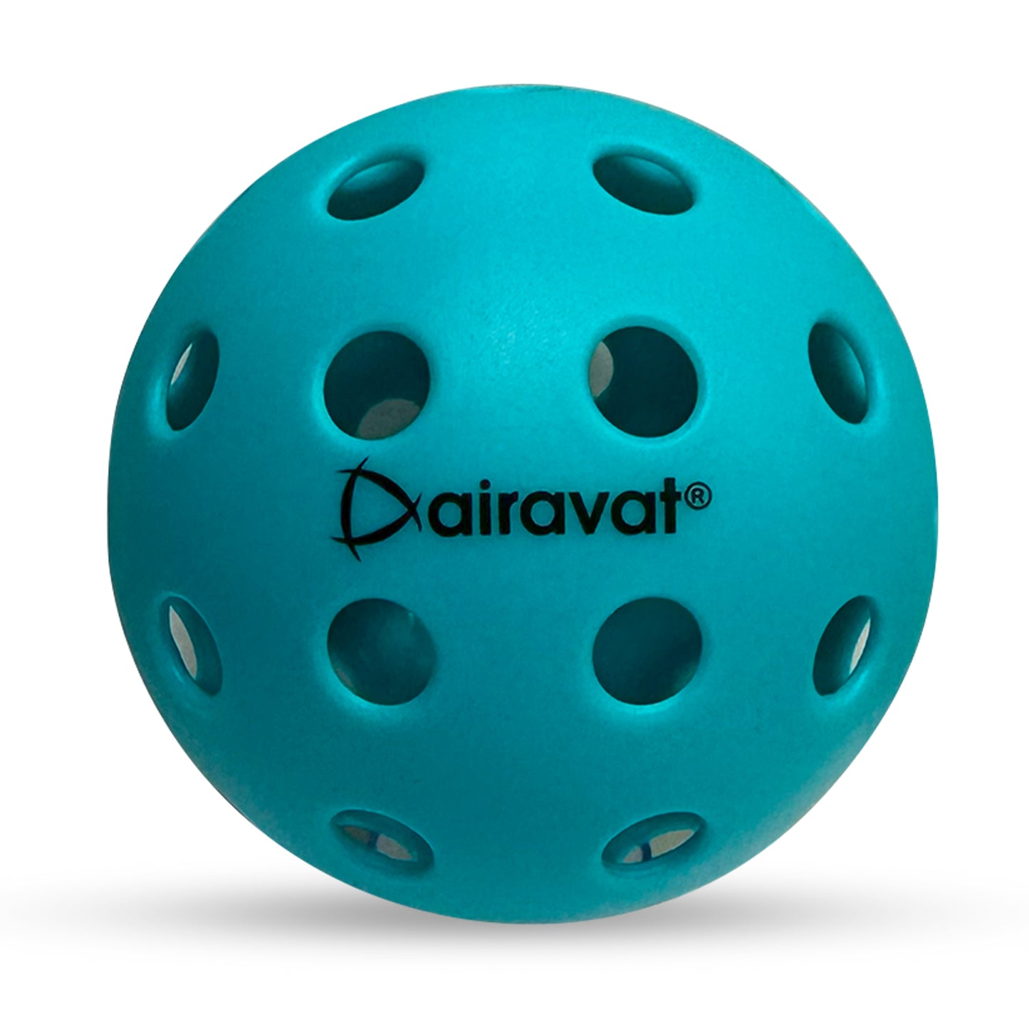 40 HOLE PICKLEBALL (6 PCS SET)