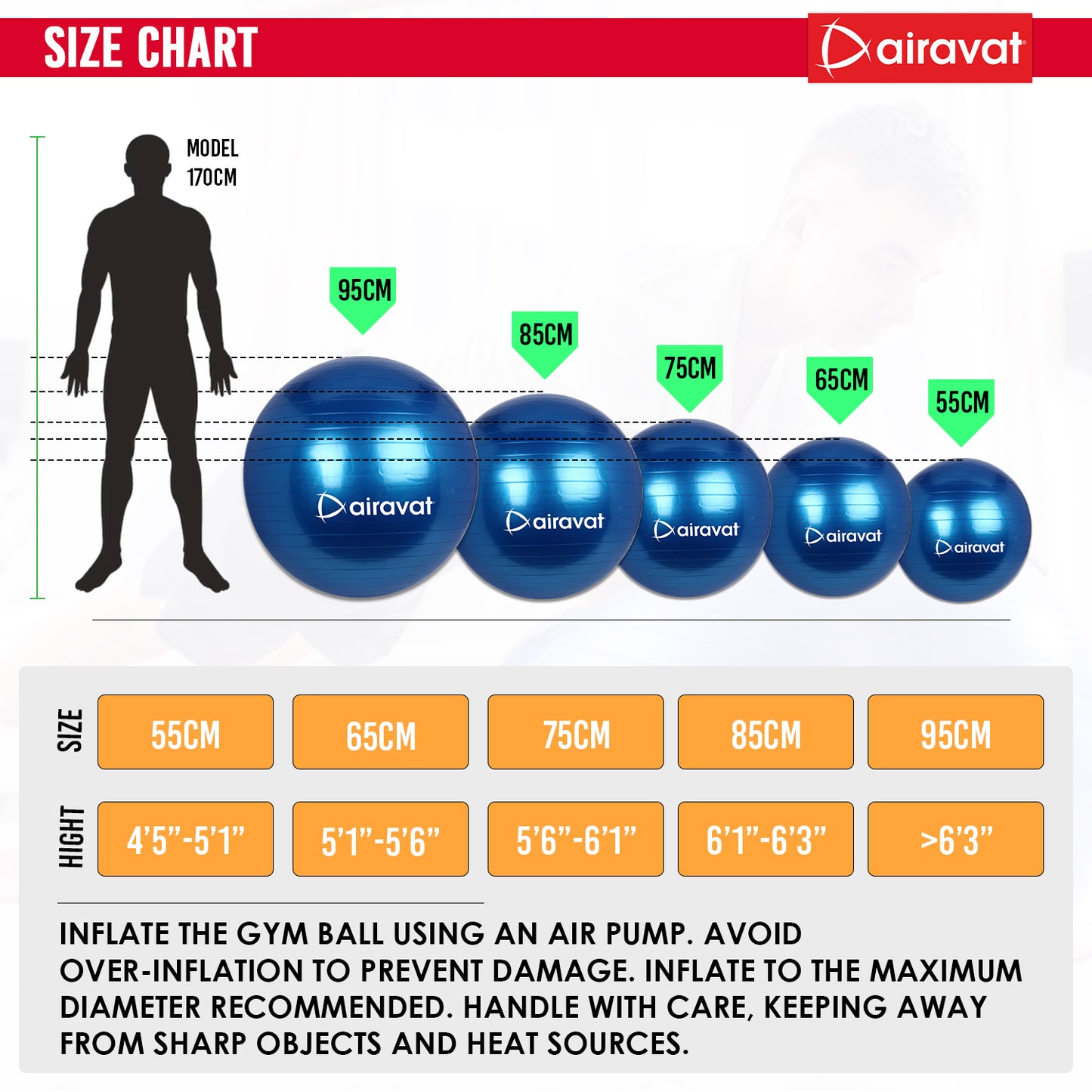 balance-ball-actual-model-blue