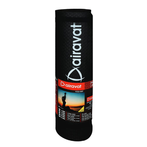 TPE 10MM YOGA MAT (2 TONE)
