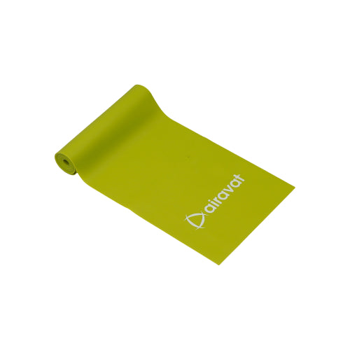 RESISTANCE BAND 4502 (LEVEL 4)