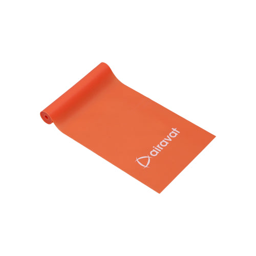 RESISTANCE BAND 4502 (LEVEL 2)