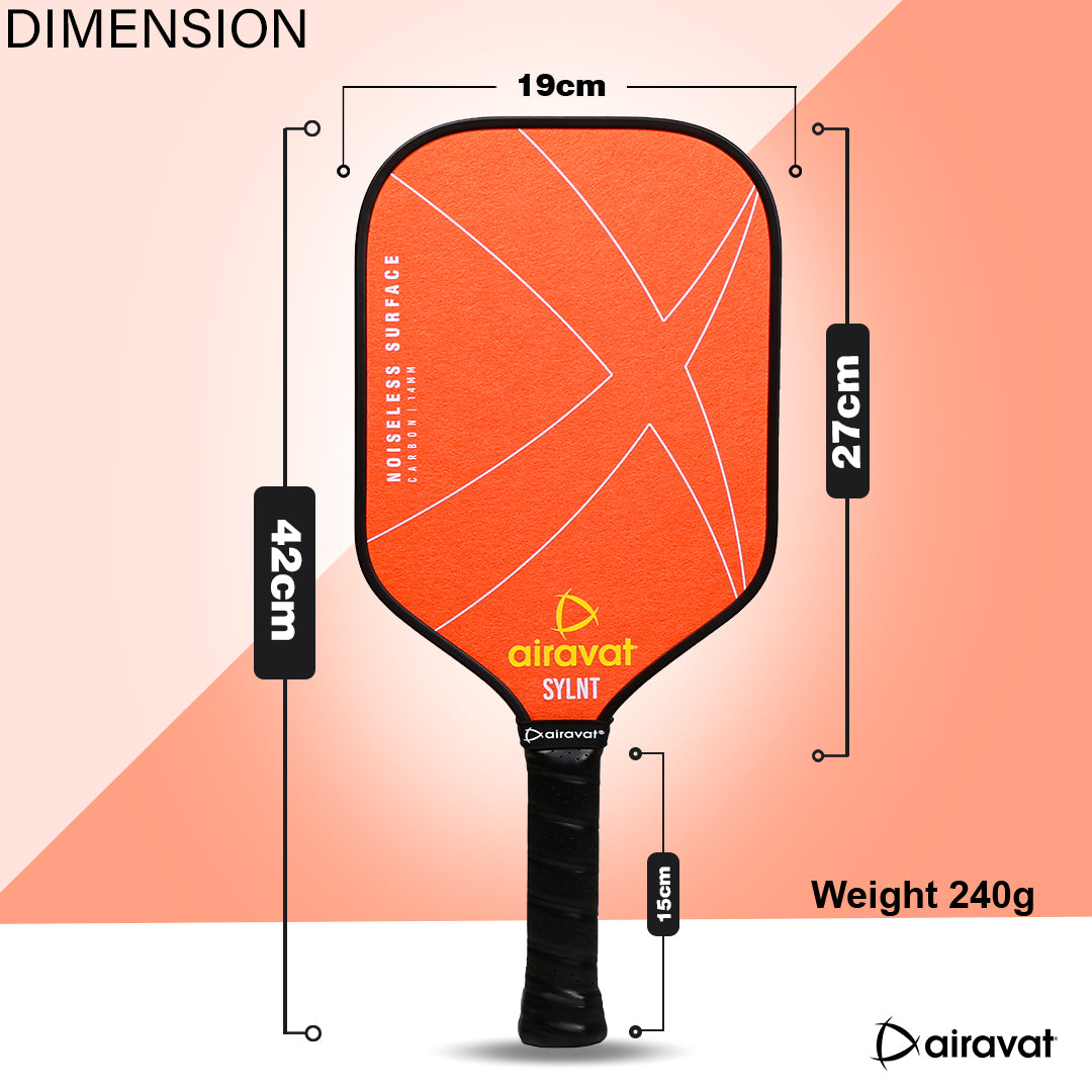 SYLNT 7415 – INDIA'S FIRST NOISELESS PICKLEBALL PADDLE
