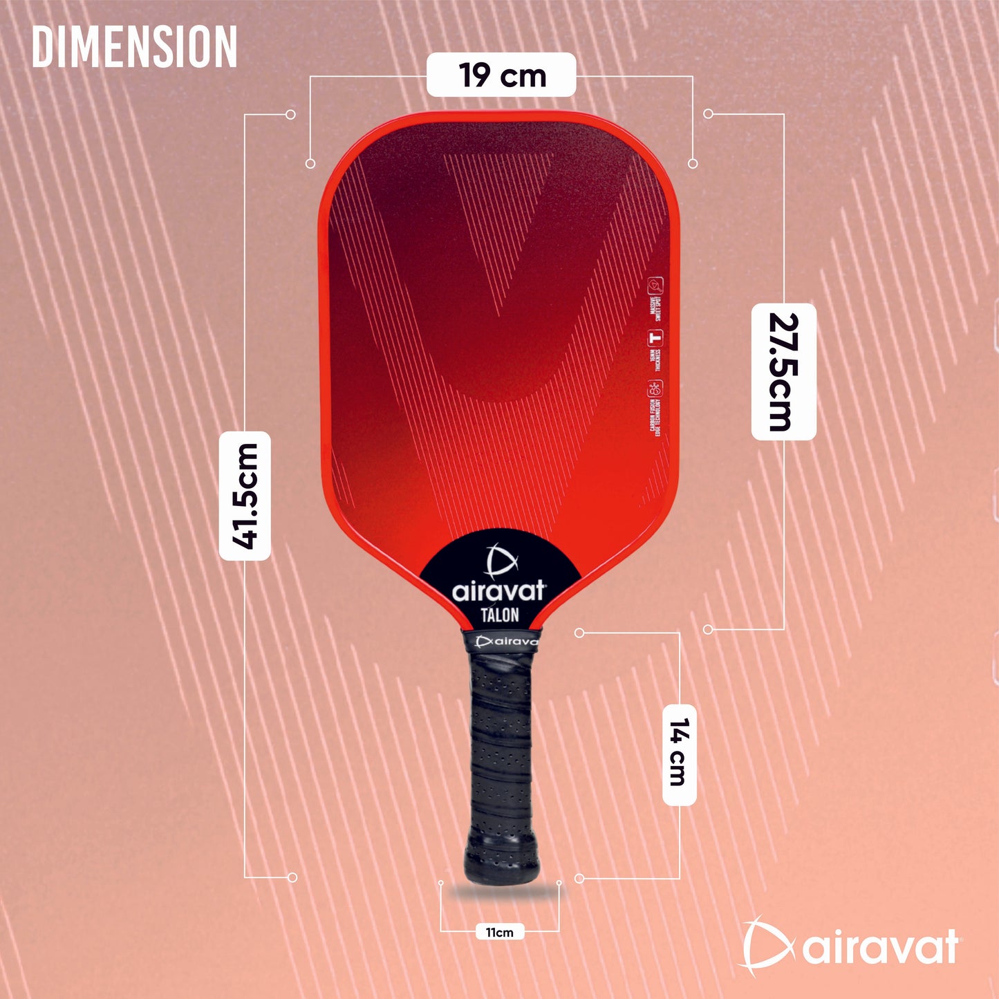 TALON 7419 PICKLEBALL PADDLE WITH BAG