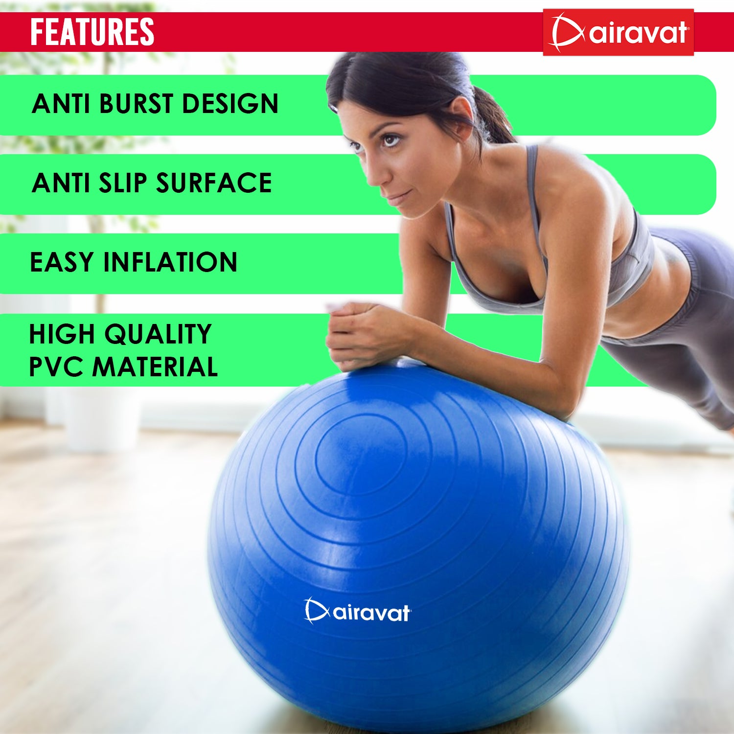 gym-ball-features-blue