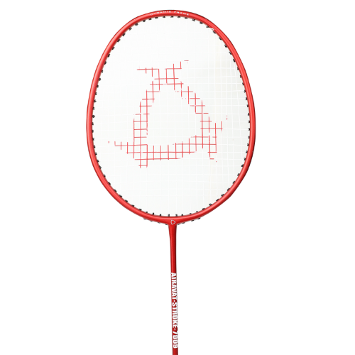 BADMINTON RACKET STROKE 7009