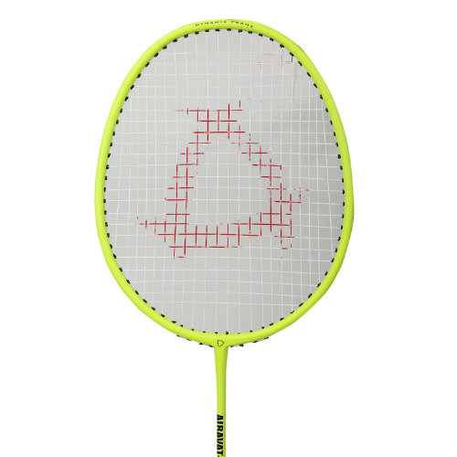 BADMINTON RACKET STROKE 7009